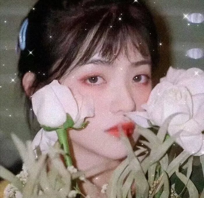 何塞2018
