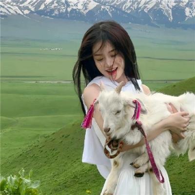 爱丽丝和特蕾丝的梦幻工厂
